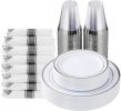 175 Piece Silver Plastic Dinnerware Set for 25 Guests, Fancy Disposable Plates for Party, Include: 25 Dinner Plates, 25 Dessert Plates, 25 Pre Rolled